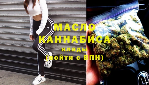 дмт Осташков