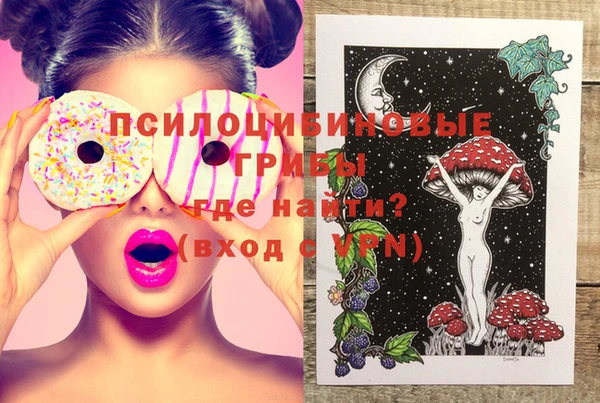 гашик Абинск