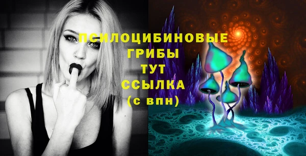 СК Осинники