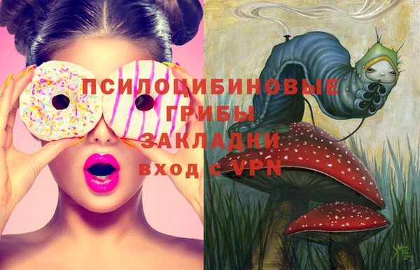 гашик Абинск