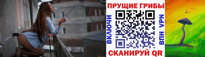 Галлюциногенные грибы Psilocybine cubensis  Правдинск 